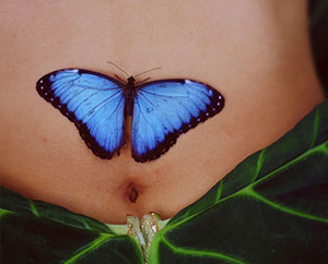 Attain Optimum Health Attain Optimum Health