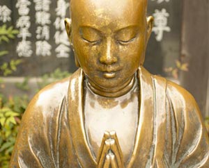 Experience Chinese Medicine Experience Chinese Medicine