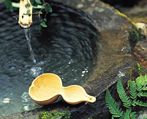 Start Caring for Yourself Start Caring for Yourself